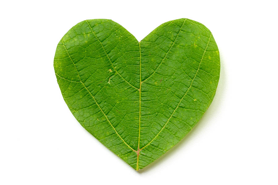 cuore verde